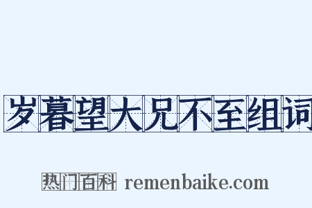 岁暮望大兄不至组词是什么意思的图片